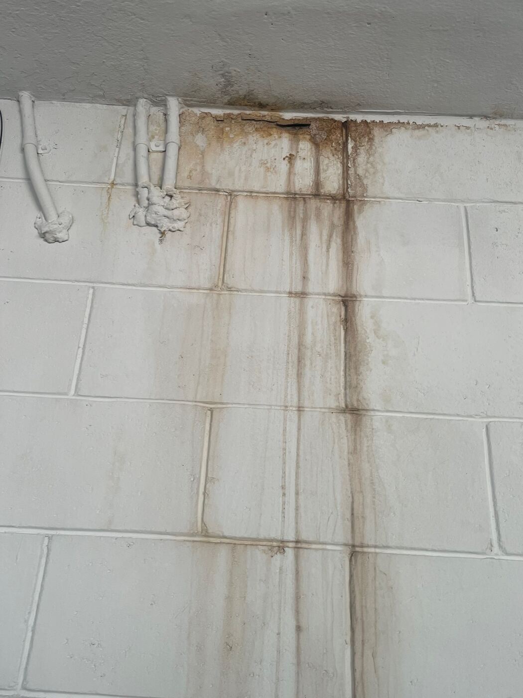 Water staining tracking down garage wall