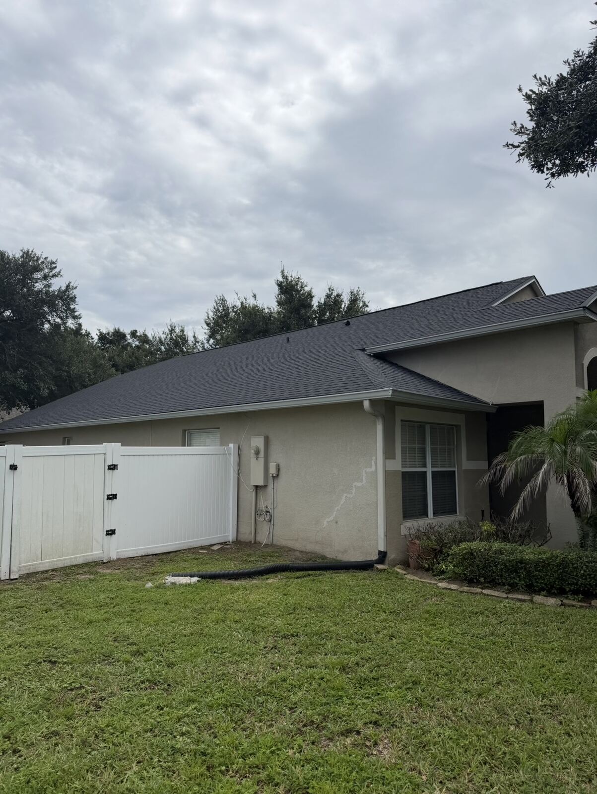 Finished shingle roof detail